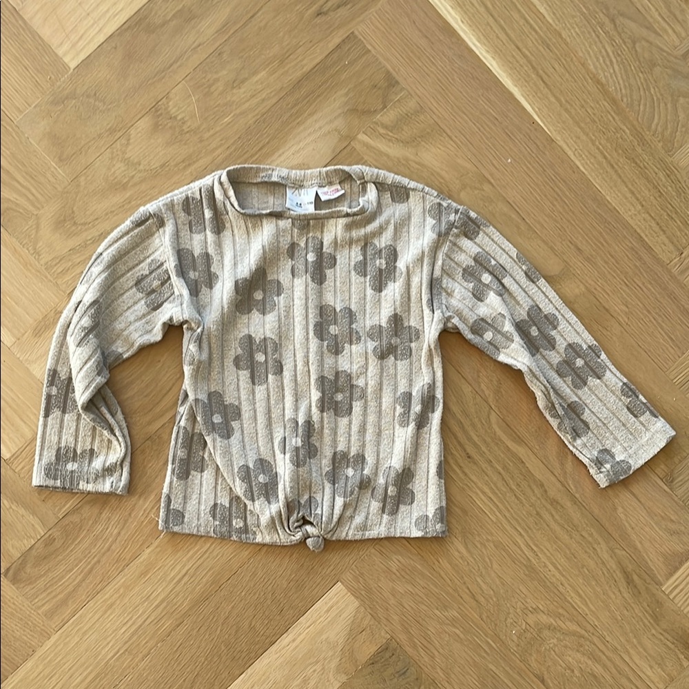 Zara Tan and Brown Long Sleeve Tee